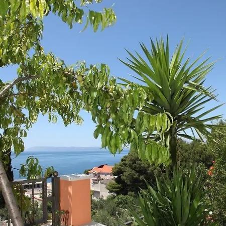 House Apartment Podgora (Split-Dalmatia)